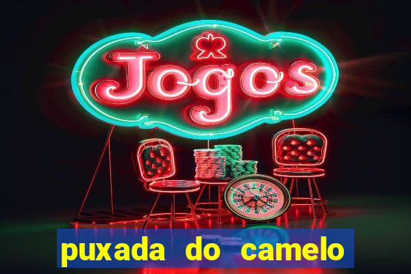 puxada do camelo no jogo do bicho